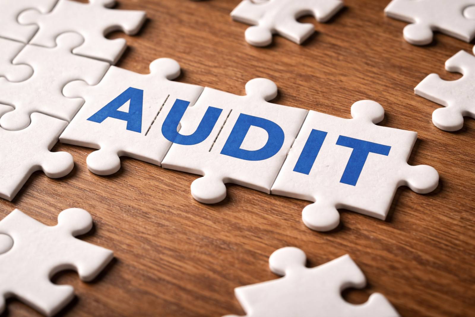 Réaliser l’audit social d’une entreprise à Lyon (Rhône)