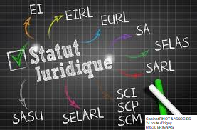 Comment bien choisir le statut juridique de son entreprise à lyon